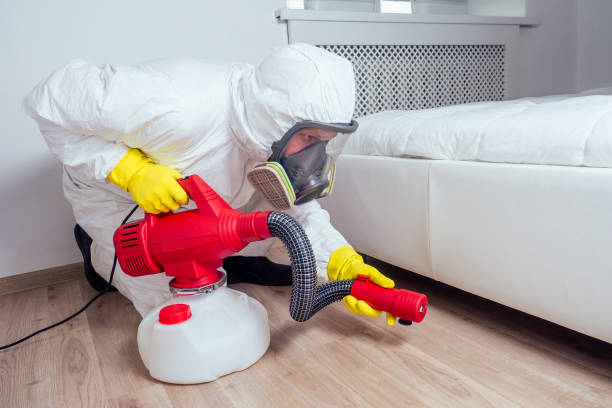 Reliable Belmont, MS Pest Control Solutions
